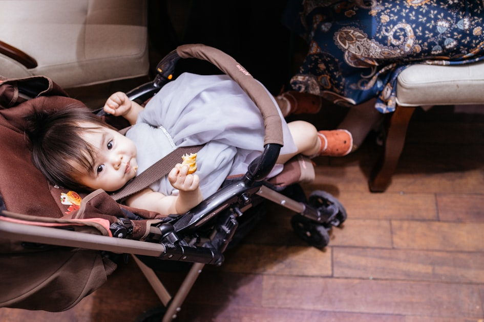 Comparing Stroller Rental Services